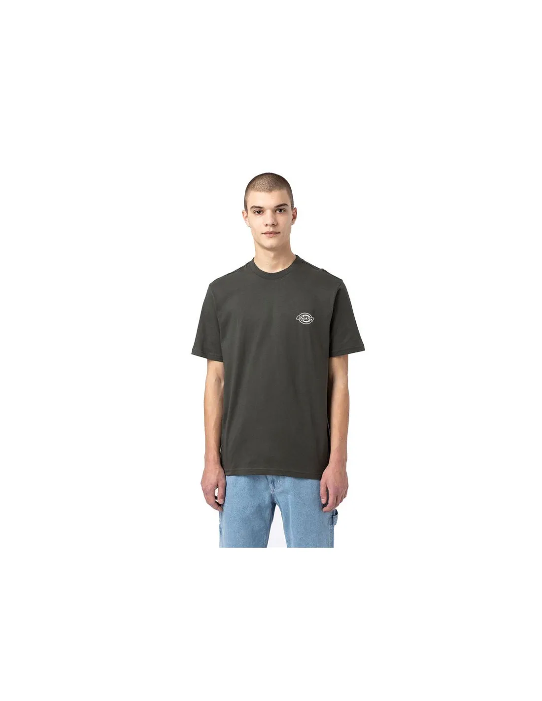 Camiseta Dickies Holtville Olive Verde Hombre